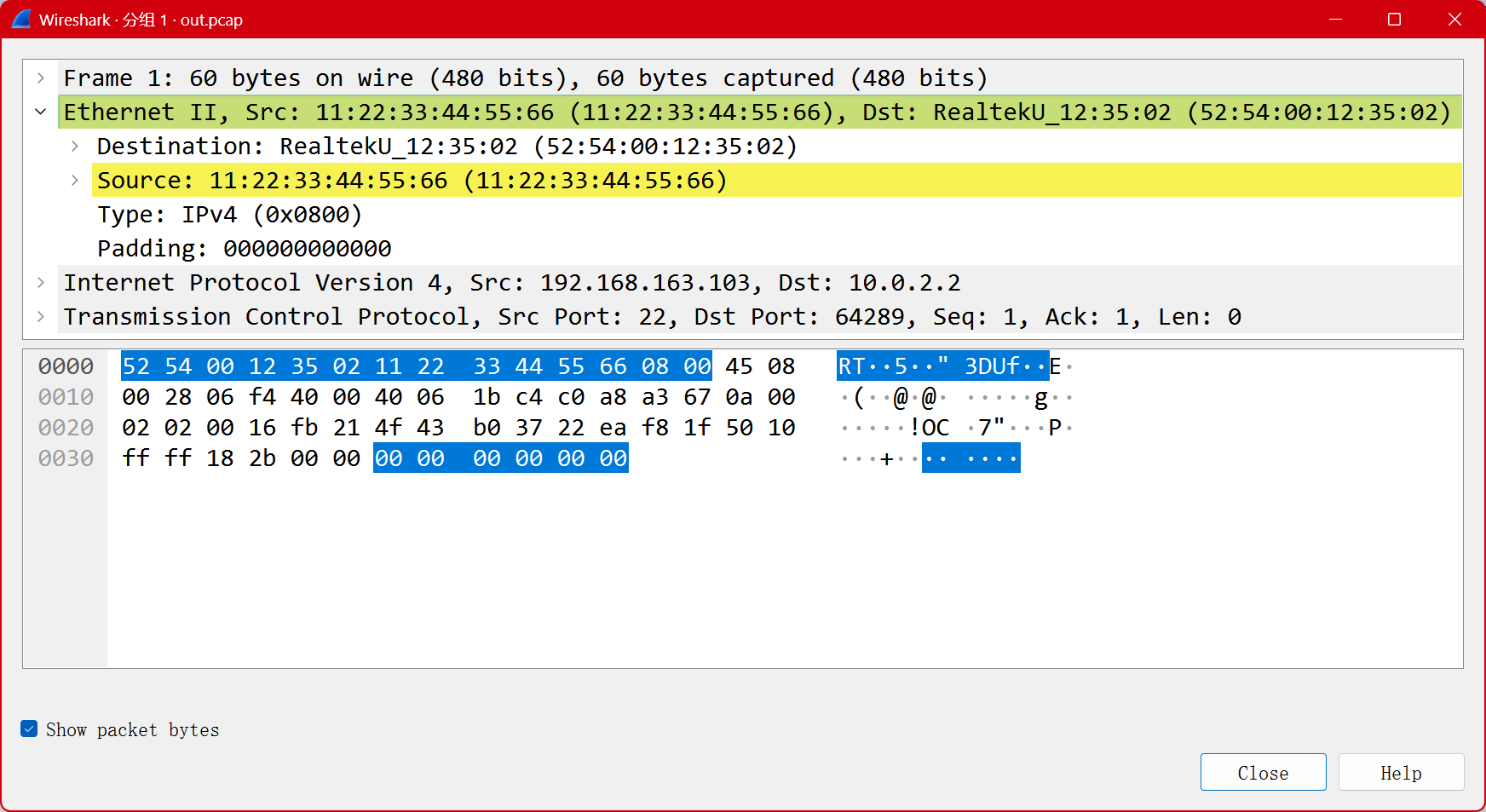 net_lab_eth_out_pcap